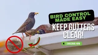 Bird-Free Gutters Made Easy | Keep Pigeons Away With This Ultimate Gutter Kit!