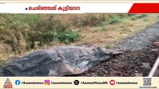 വാളയാറിൽ ട്രെയിൻ ഇടിച്ച് കുട്ടിയാന ചരിഞ്ഞു | Palakkad | Wild Elephant
