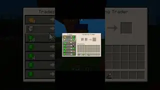 Wondering Trading #mcfleet #mcfleetserver #minecraft