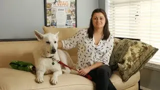 Around Town - WAG Critical Care Fund