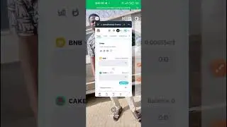 How to Trade on DEX using Trust Wallet