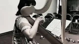 Pixie Dust - for beckmesser harp