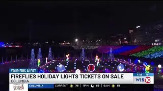 Tickets on sale for Columbia Fireflies&rsquo; annual holiday lights display