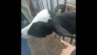 Pr&aacute;cticas