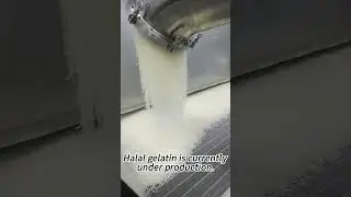 HALAL GELATIN #manufacturing #factory #food