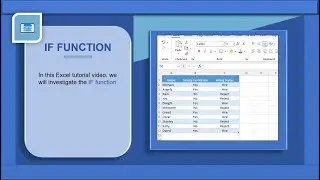 Microsoft Excel Basics - IF Function