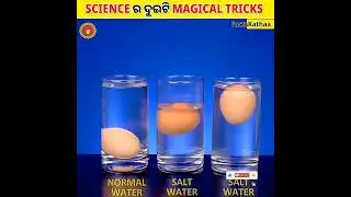 Science ର ୨ଟି ମ୍ୟାଜିକ୍ ଟ୍ରିକ୍ 😲 | 2 Amazing Science Tricks You Must Try! #shorts #knowledge