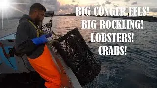 LOBSTER FISHING UK - BIG Conger Eel, BIG Rockling, BIG Wrasse, Lobsters, Crabs! - Sea Fishing UK