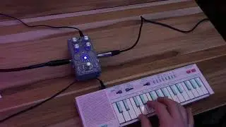 Digitech Polara Discontinued Reverb Pedal in-use video