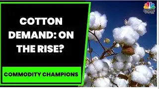 Mapping Cotton Demand & Supply With William Bettendorf & Marc Lewkowitz | Commodity Champions
