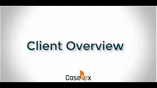 Client Overview - CaseFox | Legal Case Management Software