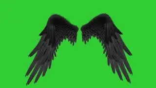 Angel wings green screen short video||gachalife(only for subscribers use)