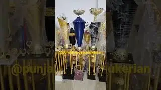 #order#for#wholesale#trophies