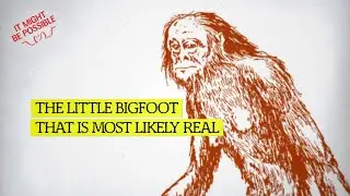 The Little Bigfoot That Is Most Likely Real
