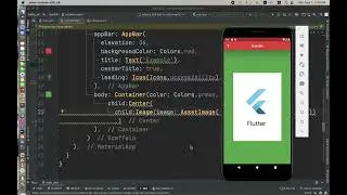 Flutter   Adding Images sample 2