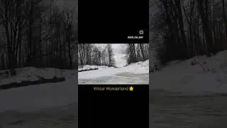 winter Wonderland. snowy Ride. #canada #canadadiaries #christmastheme #trendingreels