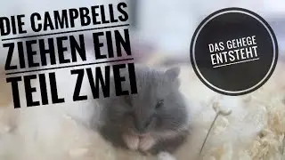 Die Campbells ziehen ein 🌷teil 2 🌷
