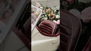 Elopement in Paris