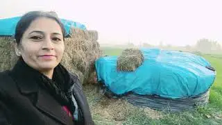 Ghar se bhahar || longia D vlog new video ||