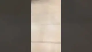 Pincher Bug spray