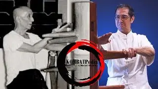 Are Wing Chun & Wing Tsun the same? (English) - Kung Fu - Martial Art