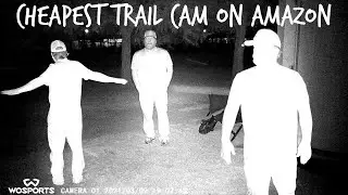 Я купил самую дешевую Trail Cam на Amazon