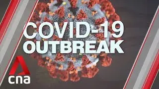 Exported cases of COVID-19 can trigger new chains of transmission: Expert