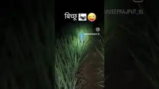 😂🤣😜 Farming Life 🌾 Please Support My Yt Channel 🙏