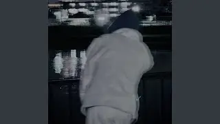 Shitamachi city