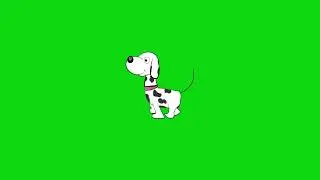 Cute cartoon dog green screen  funny dog animation background