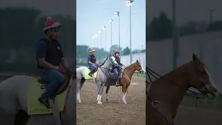 Does 2025 Kentucky Derby contender Sandman take your breath away? ￼