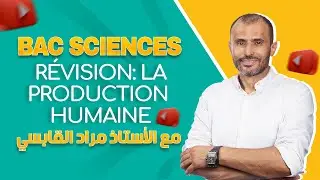 Bac Sciences | Révision : la production humaine