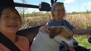 Planting WHEAT! Growing wheat for flour. The Wheat Experiment #farming #homesteading #farmingvideos