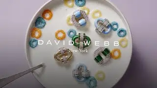 DAVID WEBB | David Webb for Breakfast