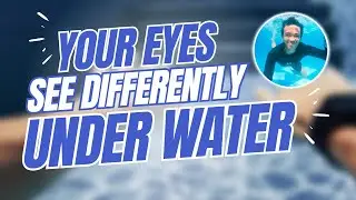 Why You Can&rsquo;t See Clearly Underwater (Normal Vision Explained)