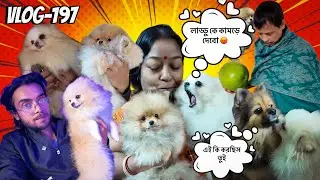 কতো আদুরে আমাদের সাফি 🥰&hearts;️(Vlog-197)#dog #pets #dailyvlog 