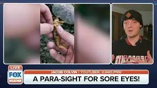 TikTok Star On Removing Parasites From Marine Life