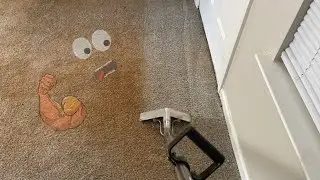 CARPET CLEANING | THIS DIRT MUST BE ON STEROIDS! | ASMR