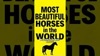 ТОП-10 САМЫХ КРАСИВЫХ ПОРОД ЛОШАДЕЙ В МИРЕ 🌎 Лучший видео-список самых красивых лошадей, рейтинг ...