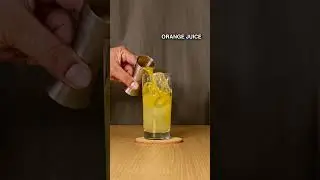 Best Recipe | Tanga Palti Ghode Faraar