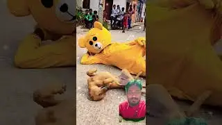 #dog #taddyday #shots #dogtraining #funnyshorts ##comedy