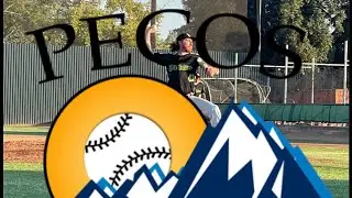 Pecos League: What is the Pecos League?