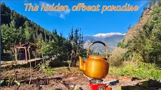 The Offbeat paradise Bagend.in || Best cafe in Soil Village || The hidden paradise near Manali 🏔️