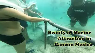 #beach #coral               Beauty of Marine Attraction in Cancun Mexico