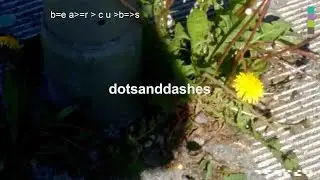 Bearcubs - Dotsanddashes