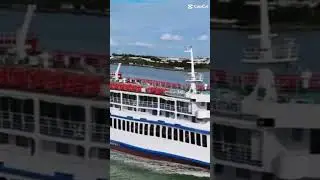 Mv Immaculate stars/ Baby Sharks Song Edit #robleshipping #edit