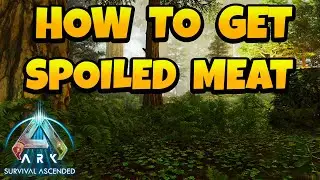 How to Get A lot of Spoiled Meat in ARK Survival Ascended