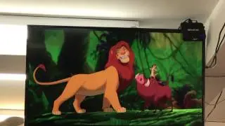 IPTV English channels Arabic Turkish Bein Sports OSN MBC ART NEWS better then Royal