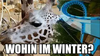 ACHTERBAHN fahren im WINTER - Aber WO?
