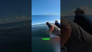 Поймана ОГРОМНАЯ кобия! Безумная борьба и эпическое морское приключение! #рыбалка #шорты #оффшор ...